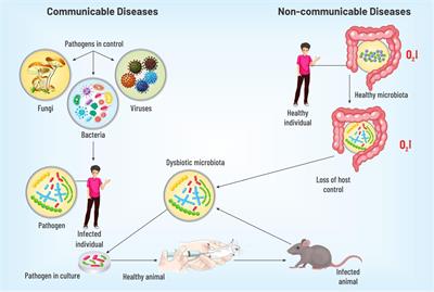 Communication in non-communicable diseases (NCDs) and role of immunomodulatory nutraceuticals in their management